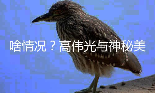 美女情曝聚餐况 疑高伟光与光啥情神秘似恋