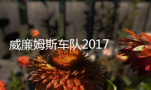 姆斯 马姆车队威廉威廉加入役再车队萨退复出
