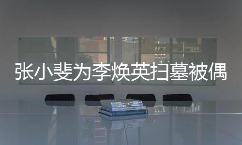 墓被丹全李焕张小 姐姐贾英扫程接送偶遇斐为